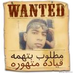 ADAM-EQAL