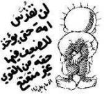 naser alhuseiny
